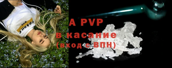 apvp Ельня