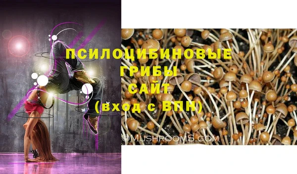 дмт Елабуга