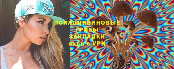 эйфоретик Дмитровск
