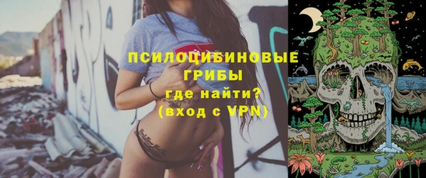 apvp Ельня