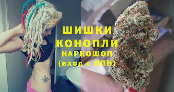 мдпв Тихвин