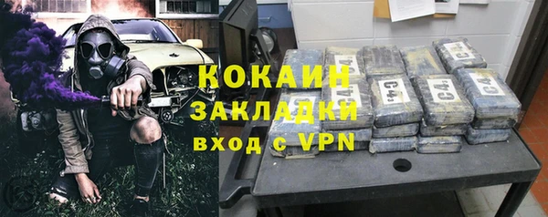 apvp Ельня
